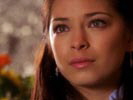 Smallville photo 4 (episode s02e19)