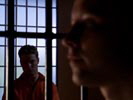 Smallville photo 8 (episode s02e20)