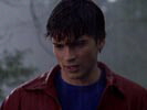 Smallville photo 5 (episode s02e21)
