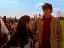 Smallville photo 5 (episode s02e22)