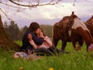 Smallville photo 2 (episode s02e23)