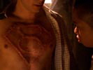 Smallville photo 6 (episode s02e23)