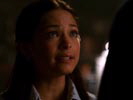 Smallville photo 7 (episode s03e07)