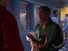 Smallville photo 7 (episode s03e13)