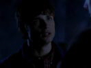 Smallville photo 7 (episode s03e17)