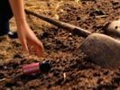 Smallville photo 5 (episode s04e02)