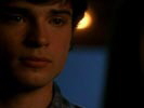 Smallville photo 2 (episode s04e11)