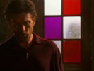 Smallville photo 3 (episode s04e15)