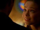 Smallville photo 2 (episode s04e19)