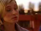 Smallville photo 3 (episode s04e19)