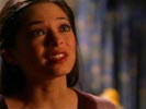 Smallville photo 4 (episode s04e20)