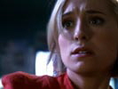 Smallville photo 1 (episode s04e21)