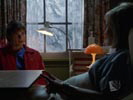 Smallville photo 7 (episode s05e01)