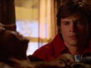 Smallville photo 6 (episode s05e08)