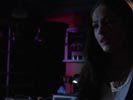 Smallville photo 8 (episode s05e15)