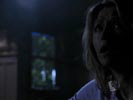 Smallville photo 1 (episode s05e18)