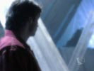 Smallville photo 3 (episode s05e22)