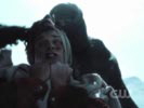 Smallville photo 8 (episode s06e01)