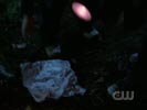 Smallville photo 1 (episode s06e03)