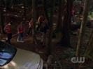 Smallville photo 4 (episode s06e03)