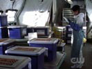 Smallville photo 3 (episode s06e08)