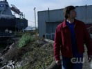 Smallville photo 8 (episode s06e08)