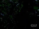 Smallville photo 1 (episode s06e09)