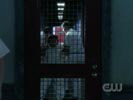 Smallville photo 1 (episode s06e12)