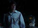 Smallville photo 7 (episode s06e12)