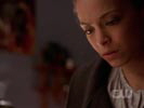 Smallville photo 6 (episode s06e14)