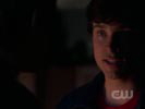 Smallville photo 6 (episode s06e15)