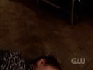 Smallville photo 7 (episode s06e18)