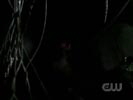 Smallville photo 7 (episode s06e19)