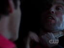 Smallville photo 6 (episode s06e22)