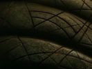 Stargate-SG1 photo 1 (episode s04e08)