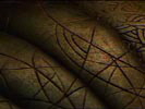 Stargate-SG1 photo 2 (episode s05e05)