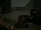 Stargate-SG1 photo 5 (episode s06e11)
