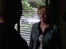 Stargate-SG1 photo 8 (episode s07e21)