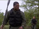 Stargate SG-1 photo 4 (episode s08e04)