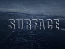 Surface photo 1 (episode s01e01)