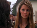 The O.C. photo 8 (episode s01e12)