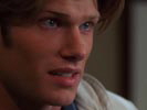 The O.C. photo 8 (episode s01e18)