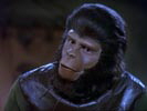 The Planet of the Apes photo 8 (episode s01e01)