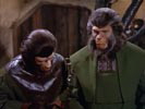 The Planet of the Apes photo 4 (episode s01e02)