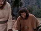 The Planet of the Apes photo 3 (episode s01e04)