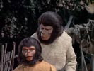 The Planet of the Apes photo 5 (episode s01e04)