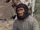 The Planet of the Apes photo 6 (episode s01e04)