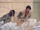 The Planet of the Apes photo 5 (episode s01e05)