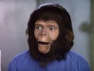The Planet of the Apes photo 2 (episode s01e07)