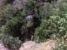 The Planet of the Apes photo 3 (episode s01e07)